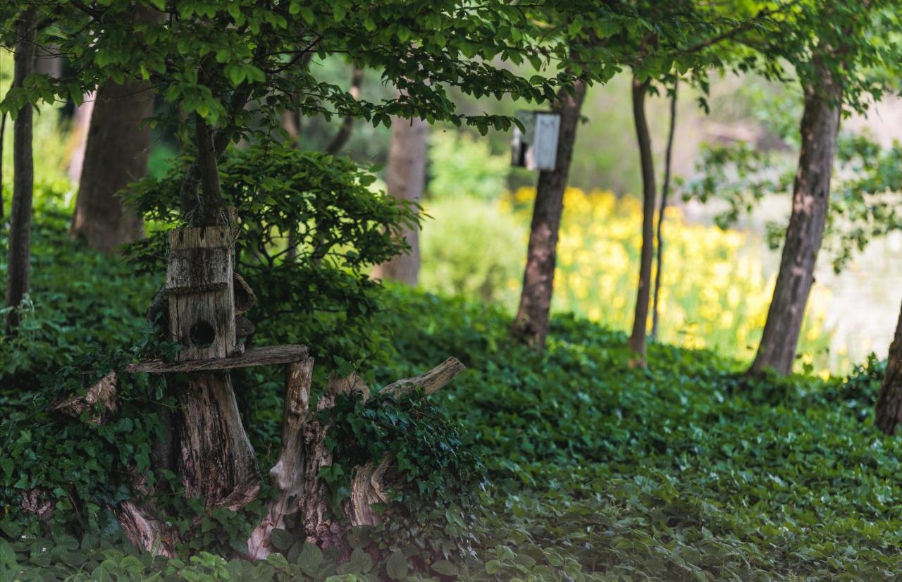 Rajski Vrt - Lake House - Paradise Garden シサク エクステリア 写真